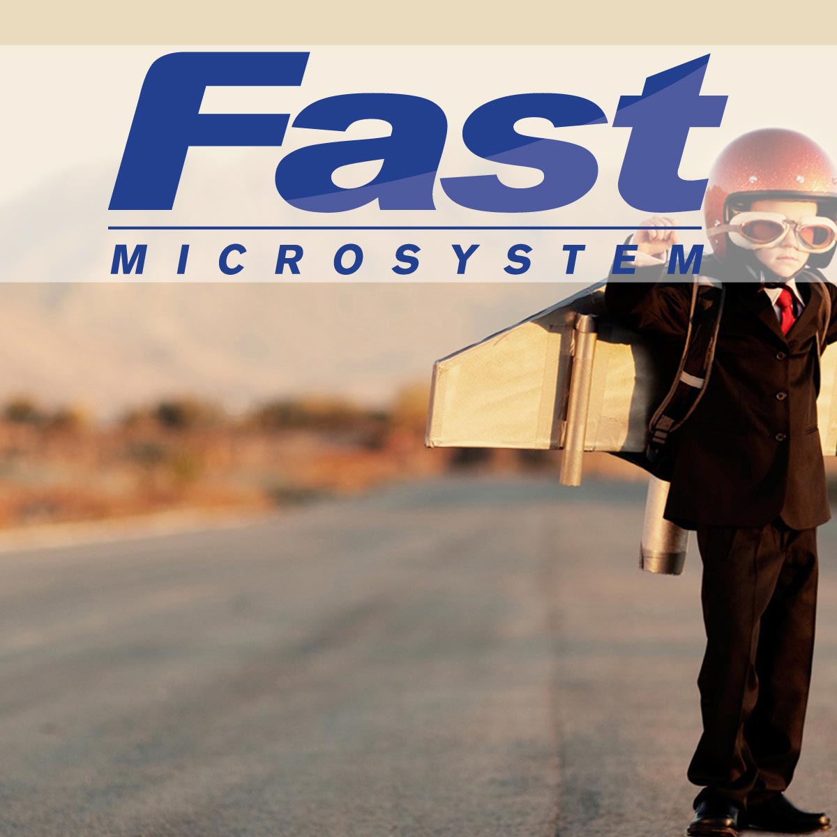 Fast Microsystem 2